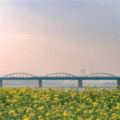 沙尘暴黄色预警：京津冀等11个省区市部分地区有扬沙或浮尘天气
